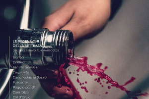 I Vini di WineNews - N. 247