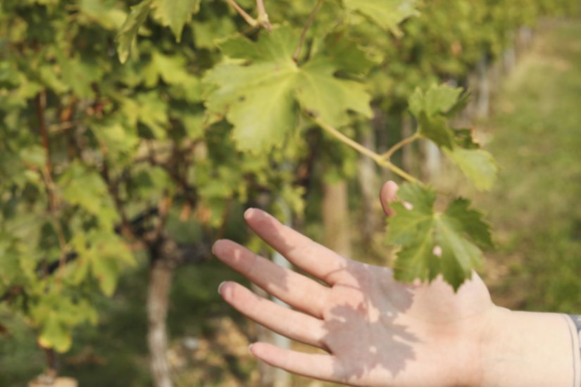 Arte: gli autori delle foto sono studenti della School of Visual Arts di New York