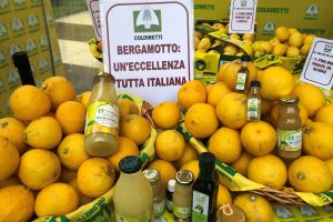 In 15 anni abbattute 100 milioni di piante di frutta in Italia, tra &ldquo;climate change&rdquo; e caro prezzi