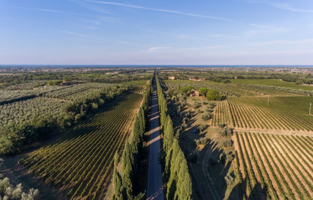 BOLGHERI, CAPRAIA, CASTAGNETO CARDUCCI, CONSORZIO BOLGHERI E BOLGHERI SASSICAIA, ELETTRODOTTO, GORGONA, TOSCANA, TRALICCI, VIALE DEI CIPRESSI, Italia