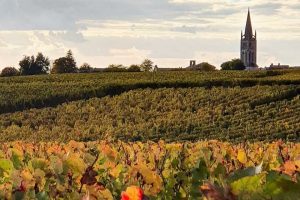 Da FranceAgriMer via libera ad altri 40 milioni di euro per una seconda distillazione di crisi