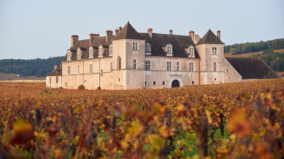 Chateau du Closde Vougeot