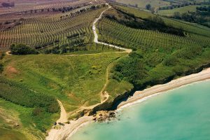 Vino d’Abruzzo, in 20 anni, export quadruplicato. Ma ancora poco l’imbottigliato. Il “caso” Citra