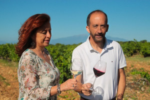 L’emergenza idrica incombe anche sui vigneti di Francia. “Agire subito per evitare il disastro” L’emergenza idrica incombe anche sui vigneti di Francia. “Agire subito per evitare il disastro”
