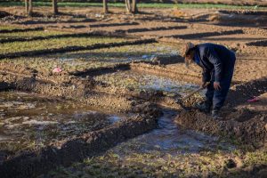 Sos terreni degradati in agricoltura, arrivano i &ldquo;medici del suolo&rdquo; certificati dalla Fao