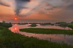 Genagricola 1851 e 3Bee danno il via al &ldquo;calcolo della biodiversit&agrave;&rdquo;, via satellite