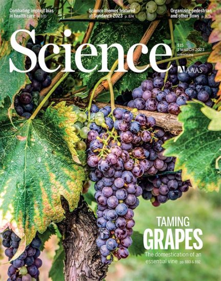 La copertina di “Science“ dedicata allo studio che ha riscritto la storia del vino e della viticultura