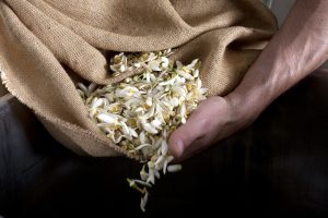 La Vecchia Distilleria, Acqua di Fiori d’Arancio Amaro Presidio Slow Food