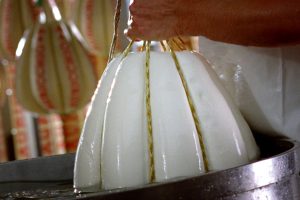 Volano le esportazioni dei formaggi italiani nel mondo: fatturato vicino ai 4,2 miliardi di euro Volano le esportazioni dei formaggi italiani nel mondo: fatturato vicino ai 4,2 miliardi di euro