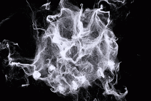 Pasqua Vini “porta” la luna a Vinitaly 2023, con la suggestiva istallazione site-specific by fuse*