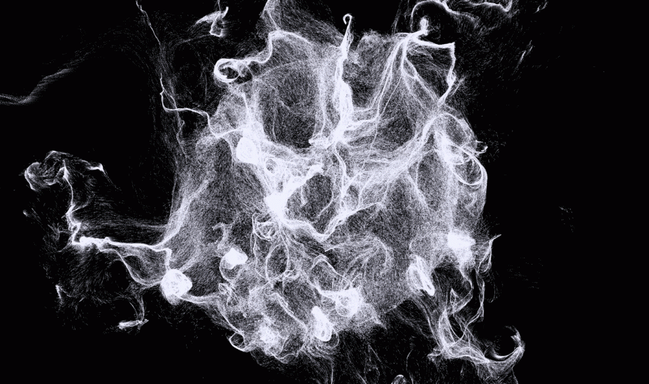 Alcune delle istallazioni artistiche commissionate da Pasqua Vini negli anni