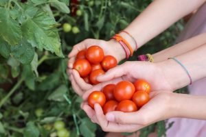 Focus su ortofrutta, nutraceutica e start-up: a Cibus 2023 1.500 buyer esteri e 20.000 visitatori