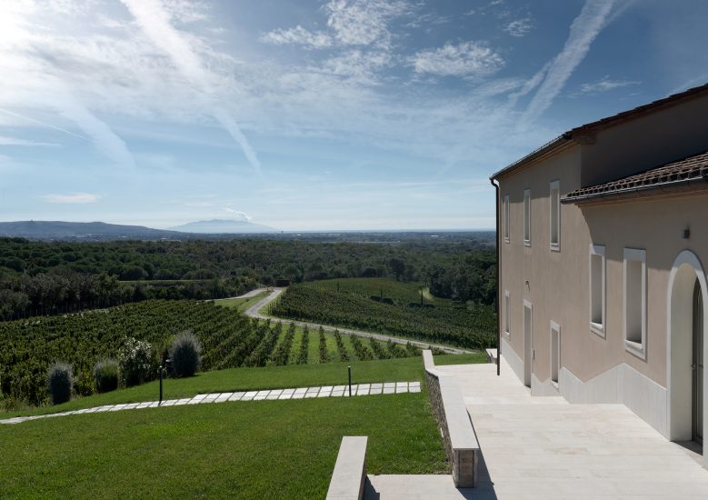 I vigneti di Masseto con vista sul mare