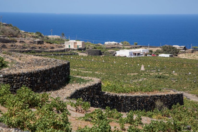 I muretti a secco sull’isola di Pantelleria