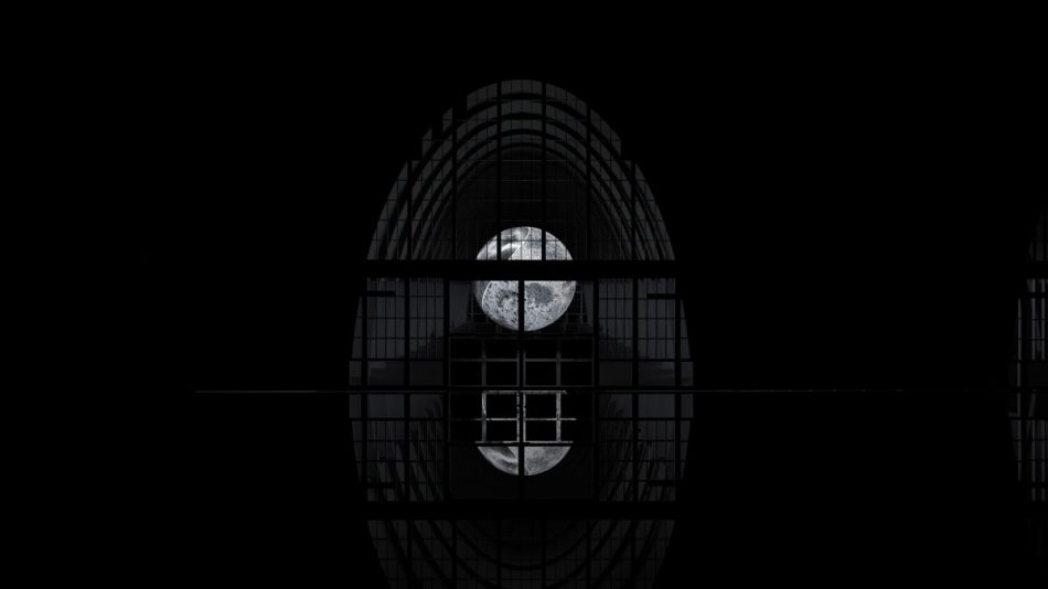 Alcune delle istallazioni artistiche commissionate da Pasqua Vini negli anni