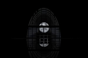 I giovani ed il vino, tra premiumisation ed arte, secondo Pasqua Vini. Che cresce sul mercato