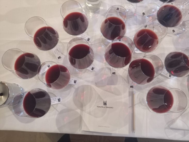 La verticale di Tenuta di Trinoro