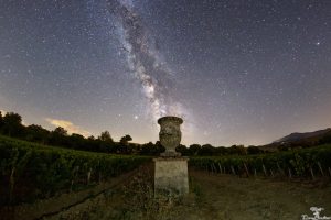 Tenuta di Trinoro, una storia che continua, e che racconta nel vino il carattere di annate e persone