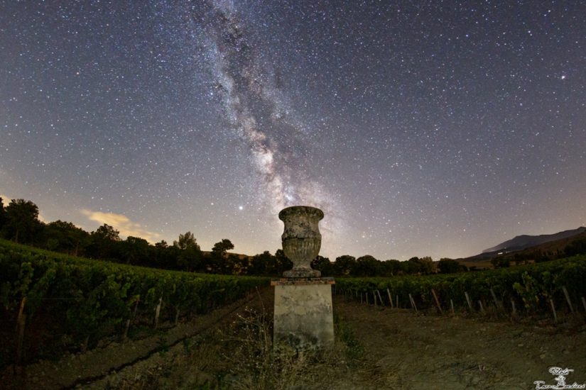 La Tenuta di Trinoro della famiglia Franchetti, in Val d’Orcia