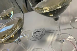Verdicchio & Co: +33% di export in 5 anni per 76 milioni di euro per le Dop delle Marche