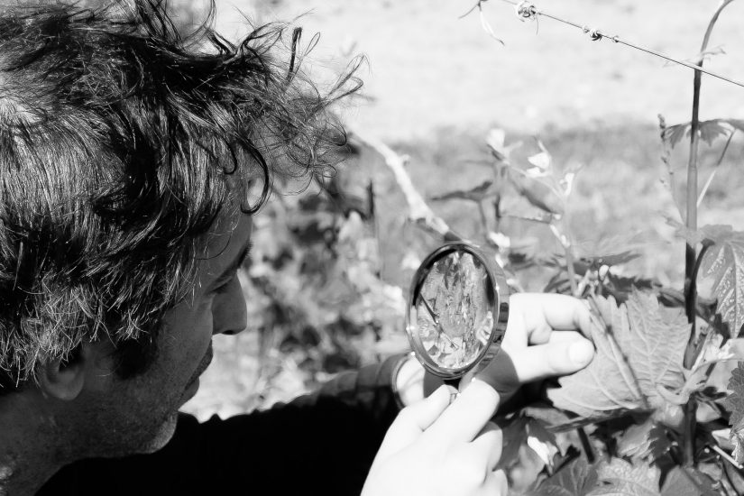 “L’altro Vinitaly” dei vini “naturali”  