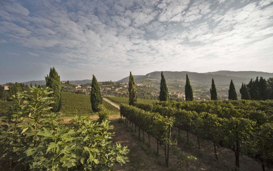 “Vino En Primeur Bergamo” (ph: Tenuta Castello di Grumello)