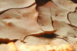 Il Climate Change minaccia ecosistemi e sicurezza alimentare: l’allarme Ipcc Il Climate Change minaccia ecosistemi e sicurezza alimentare: l’allarme Ipcc