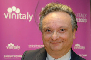 Il valore della filiera del vino, oltre la vigna e la bottiglia. Tra economia, società e ambiente