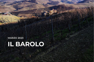 I Quaderni di WineNews - Il Barolo
