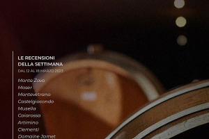 I Vini di WineNews - N. 249