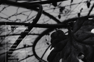 I Vini di WineNews - N. 250