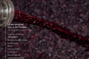 I Vini di WineNews - N. 251