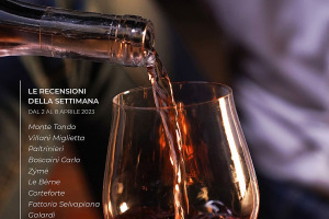 I Vini di WineNews - N. 252