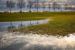 Agricoltura, &ldquo;serve 1 miliardo di euro per aumentare la raccolta di acqua piovana&rdquo;