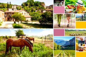 Agriturismi in grande ripresa, grazie al ritorno degli stranieri. Vince la multifunzionalità