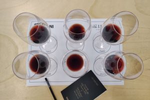 Strumento per leggere il territorio, percorso per diventare fine wine: Bertani racconta la “Library”
