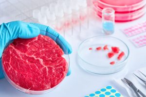 Ddl contro carne sintetica, c’è la firma di Mattarella. Lollobrigida: “Italia prima al mondo a farlo” Ddl contro carne sintetica, c’è la firma di Mattarella. Lollobrigida: “Italia prima al mondo a farlo”