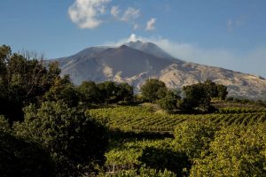 Da “Le Contrade dell’Etna” a “Taste Alto Piemonte”, ecco le “Anteprime” di primavera