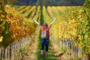 Il valore dell’enoturismo, asset strategico dell’Italia, che vale 2,6 miliardi di euro