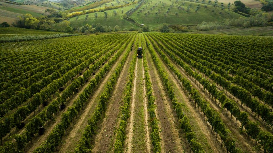 Il Giro d’Italia 2023 parte da Ortona, casa del gruppo Fantini