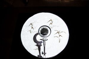 &ldquo;Food & Science Festival&rdquo;: il ruolo della scienza in agricoltura e per il futuro del cibo