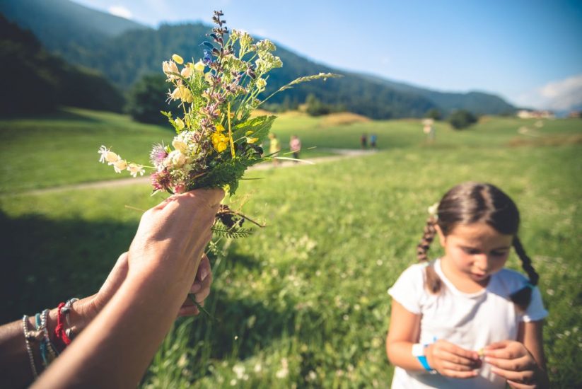 Il foraging nelle Dolomiti della Paganella in Trentino
