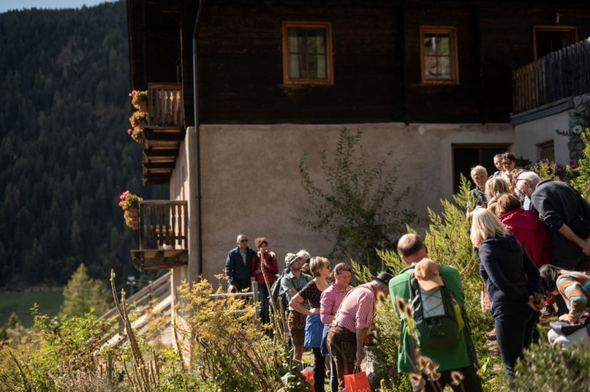 Il foraging in Trentino Alto Adige (ph: P. Schwienbacher)