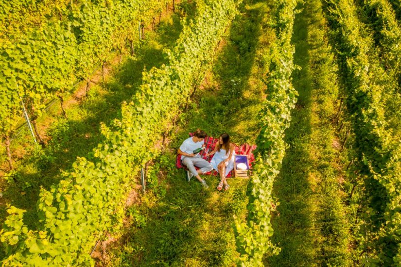 In Trentino si celebra la bella stagione con “Gemme di Gusto”