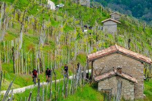 Le affinità tra il vino ed il ciclismo? Il legame con il paesaggio e la fatica ripagata al traguardo