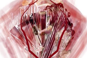 Quando la degustazione sensoriale diventa arte, per trasformare la razionalità in emozione