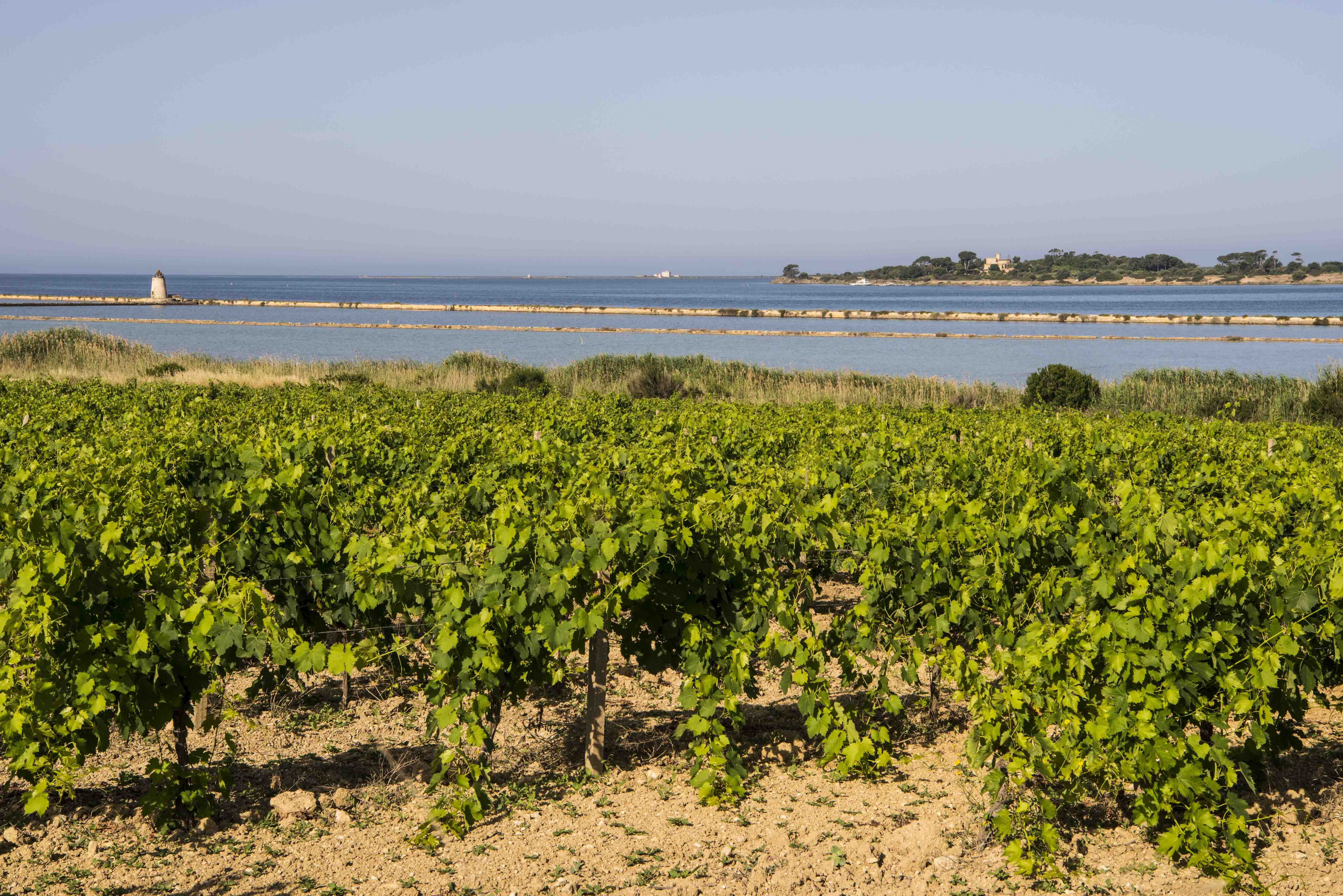 La Sicilia del vino punta sull'enoturismo di alta gamma, nel segno