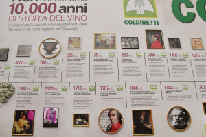 Coldiretti: “scelte politiche e insensate, non cancellano 10.000 anni di storia del vino nel mondo”