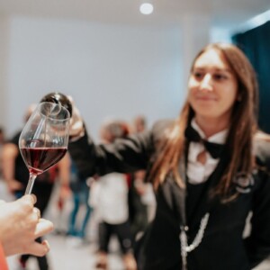 Da &ldquo;Taste Alto Piemonte&rdquo; a Milano al &ldquo;Festival Franciacorta di Primavera&rdquo;, ecco gli eventi