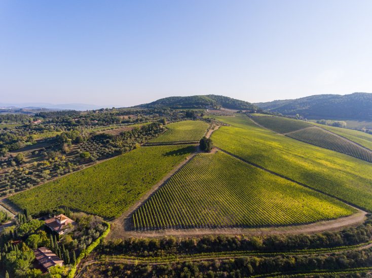 La collina del Tignanello 